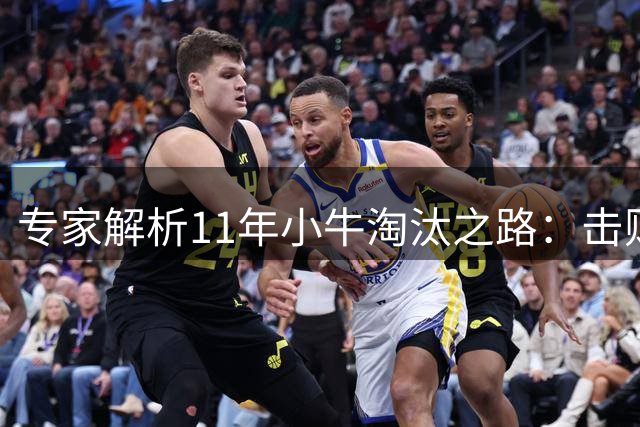 专家解析11年小牛淘汰之路：击败三大强队夺冠
